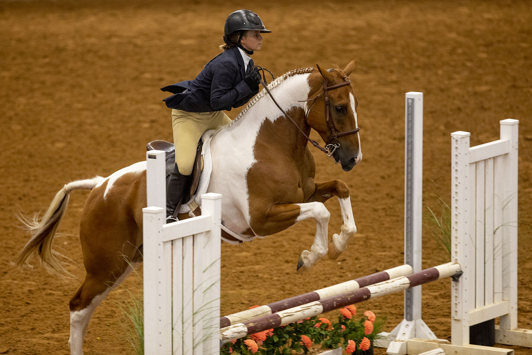 4-H horse show